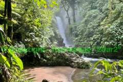 Costa-Ricas-rainforests