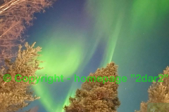 aurora01